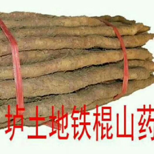 温县温县铁棍山药  产地直销，自家种植，焦作垆土铁棍山药