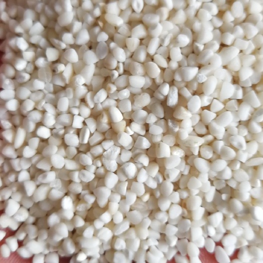 凤台县 糯米碎糯米