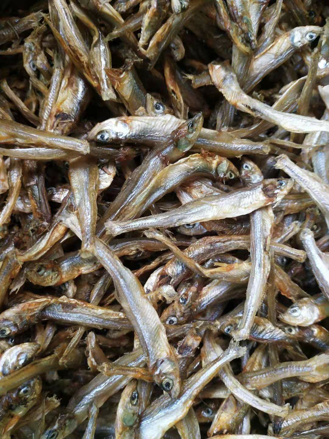 小魚乾 松花江,黃瓜香魚乾,日本出口魚