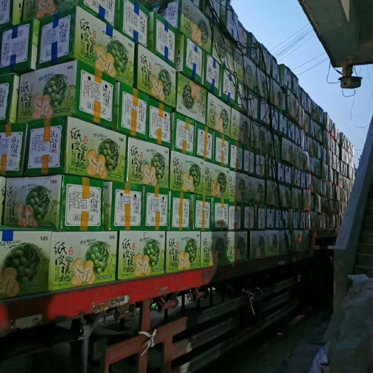 义乌市 新疆核桃185纸皮核桃云南核桃云南纸皮核桃