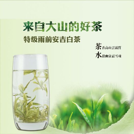 安吉县 2019新茶正宗安吉白茶雨前A级125g江浙沪满一件