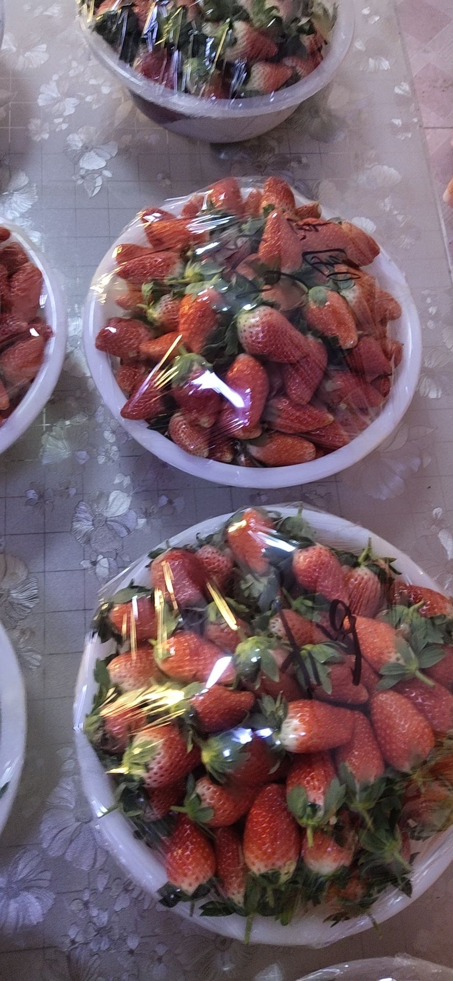  唐王草莓基地，应季供应，现摘现发。