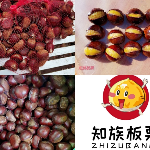 凤城市丹东板栗 油栗子