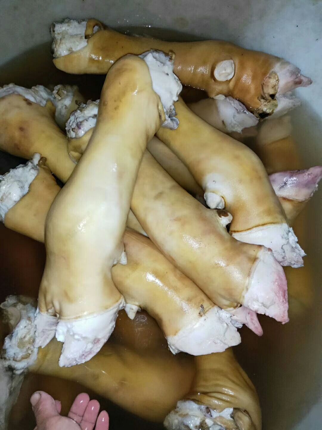 火烧半去骨，全去骨牛蹄，大量批发。