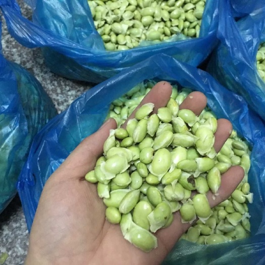 肥西县 新鲜毛豆仁全年