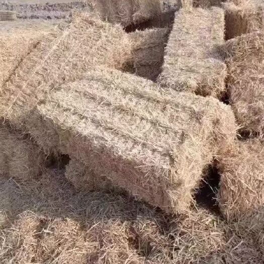 天津 大量出售柔丝稻草