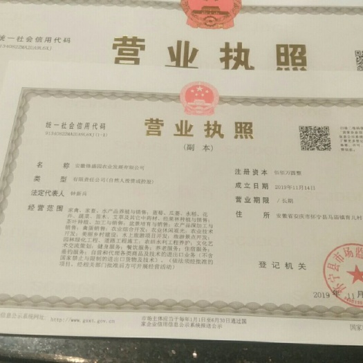 怀宁县水田 出租 5~10年 100~500亩
