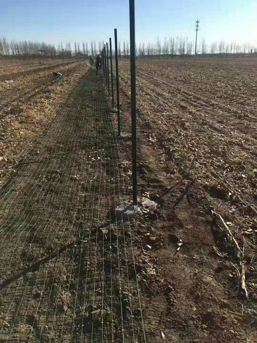 立柱  围栏柱子荷兰网柱燕尾柱