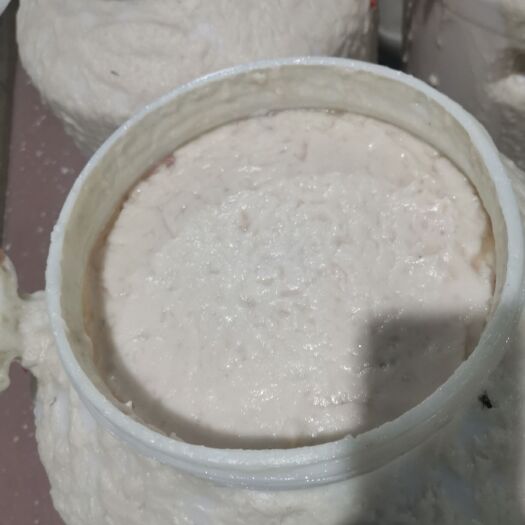 徐州鸭油  白鲢鱼鱼油要吗