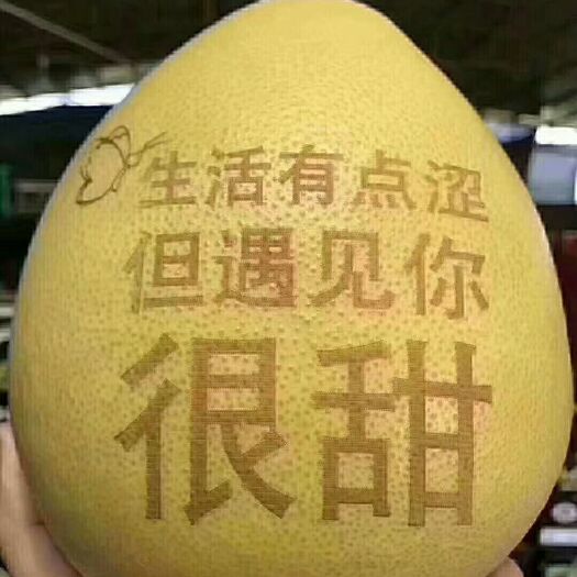 简阳市三红蜜柚苗