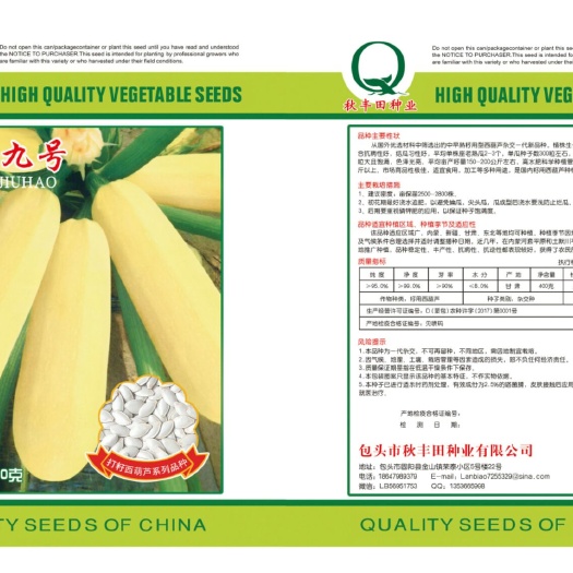 金鹏九号  籽用西葫芦
