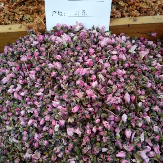 安国市 桃花干净无杂质