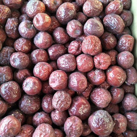 沧县 底价出售哈密大枣