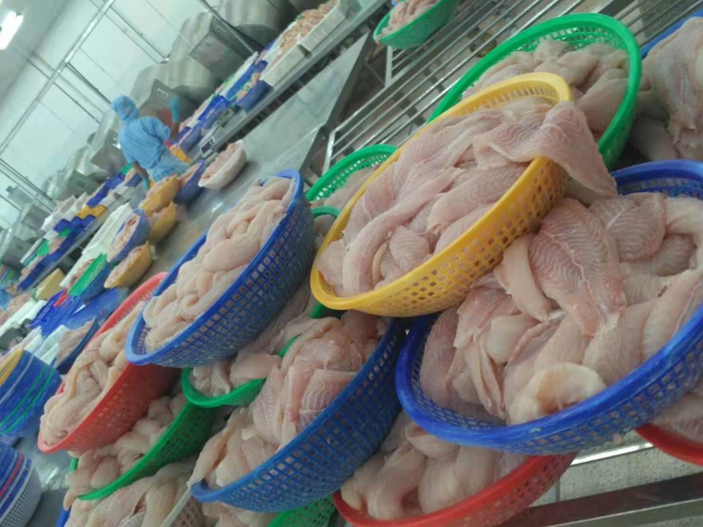 冷冻巴沙鱼 一手巴沙鱼
