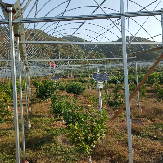 象山县蔬菜大棚