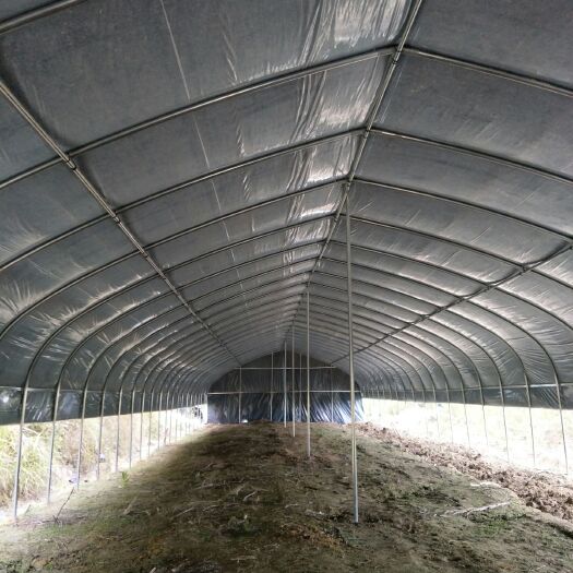 沭阳县 厂家直销 养殖大棚 菌类种植棚