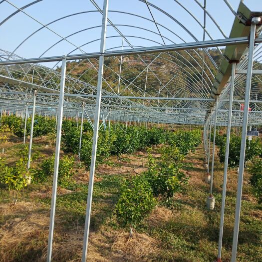 象山县蔬菜大棚 专业大棚温室搭建，经验丰富，技术娴熟，保质保量。价格美丽。