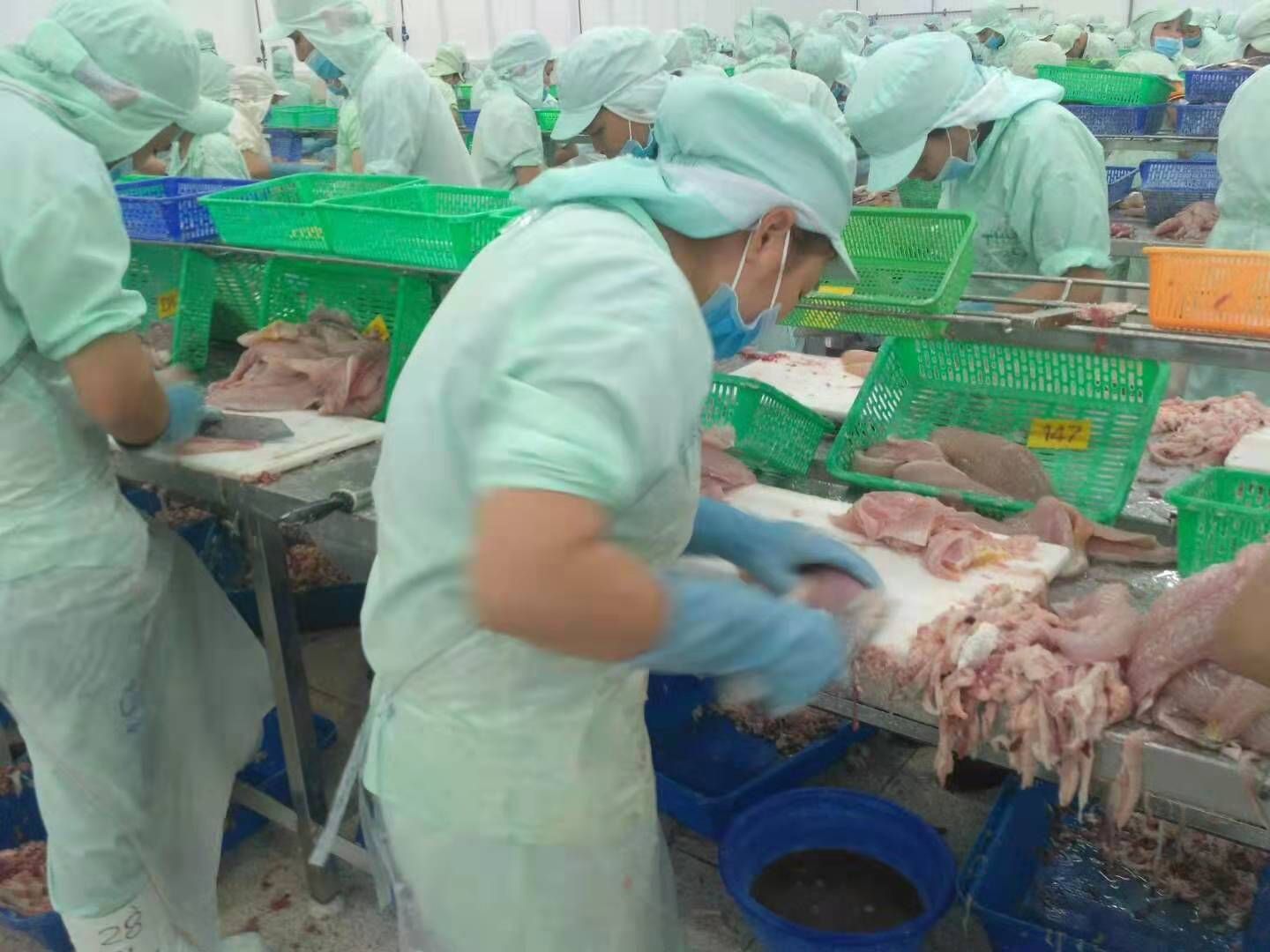 冷冻巴沙鱼 一手巴沙鱼