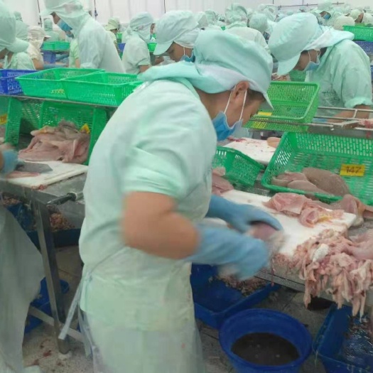 南充冷冻巴沙鱼 一手巴沙鱼