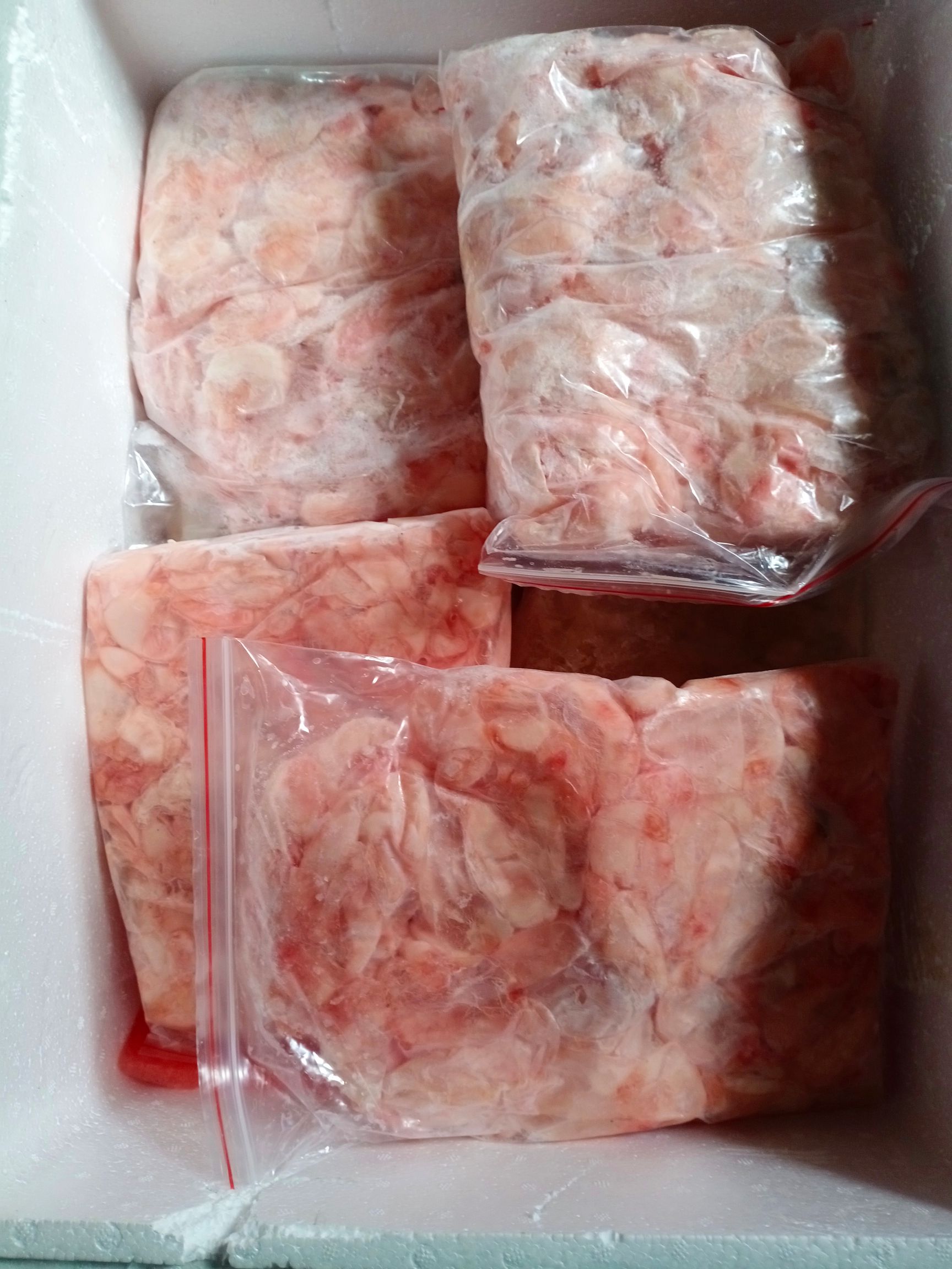 六安花胶  新鲜鱼泡鱼肚，关注店铺，查看更多产品
