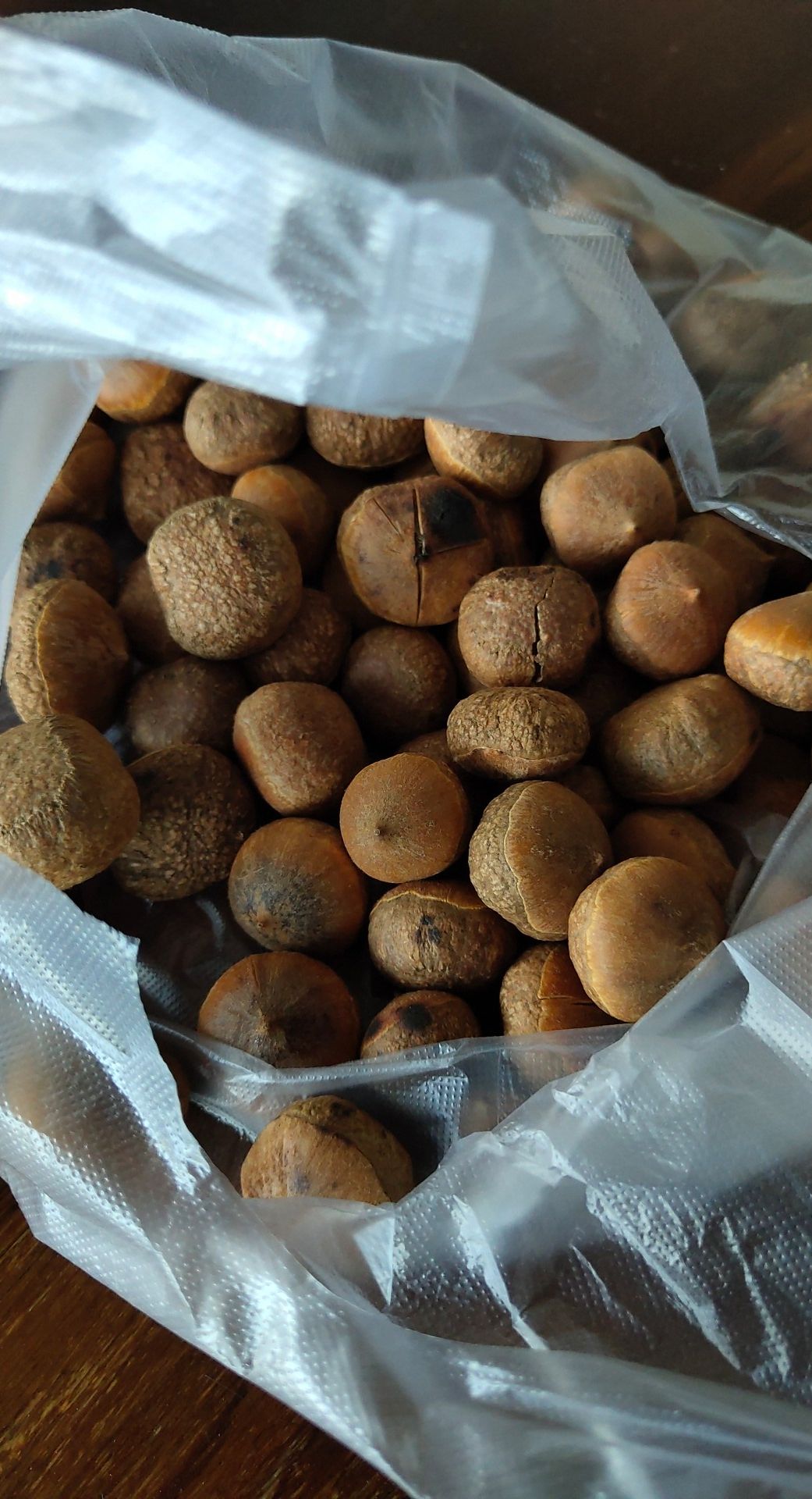  野生板栗，西双版纳原始森林的产物，我们只是大自然的搬运工