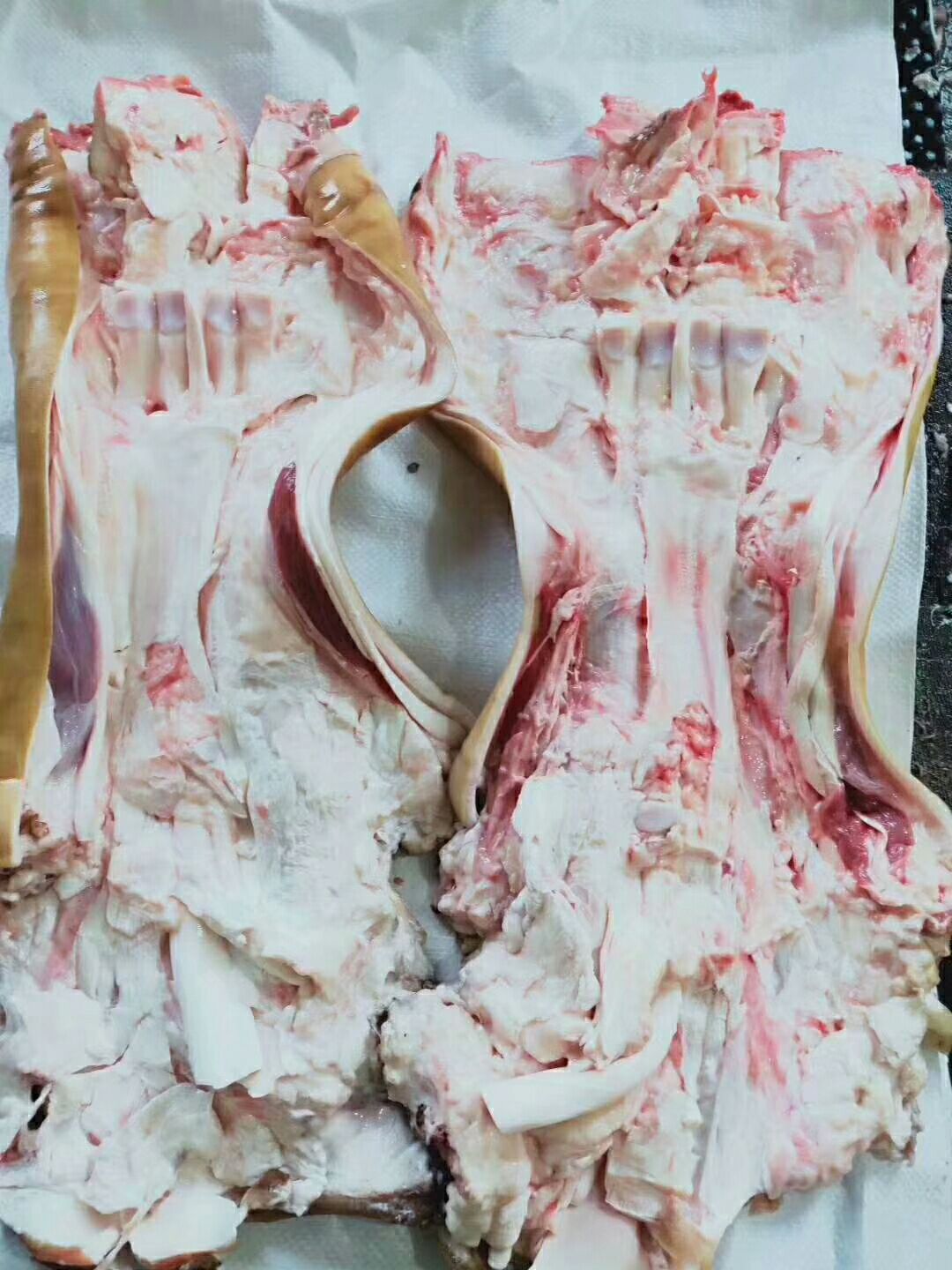 火烧半去骨，全去骨牛蹄，大量批发。
