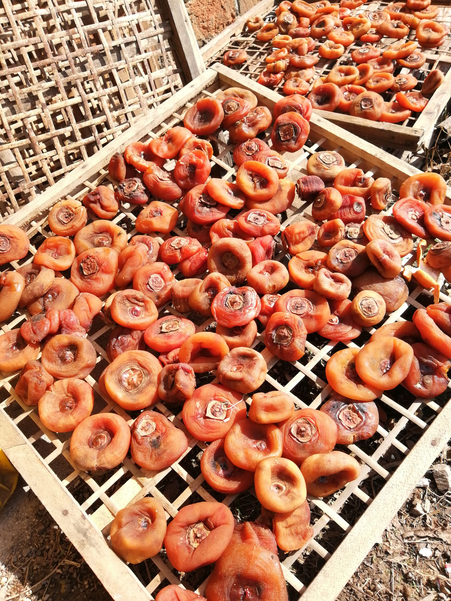 桂林柿饼  大肉饼 爆口开裂 次饼 广西桂林平乐柿饼 恭城月