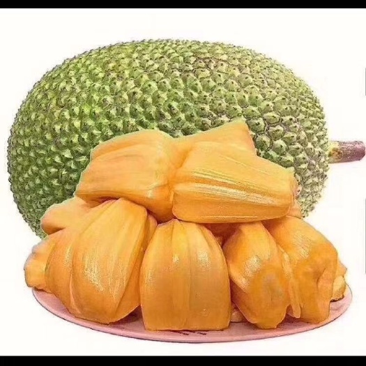 凭祥市 越南红肉菠萝蜜