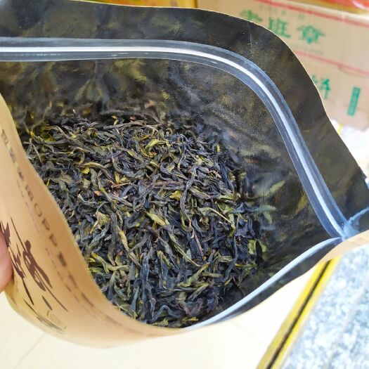 惠来县黄枝香单枞茶清香黄枝香潮州凤凰单丛茶乌叶单枞茶乌龙茶1斤1袋