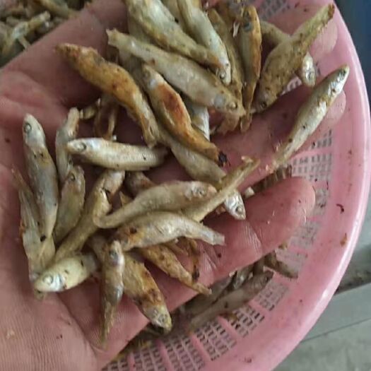 赣州小麦穗鱼干 柴火烤麦穗鱼