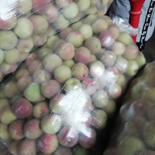 青州市冬桃  正宗青州冬雪蜜桃冷库货大量供应