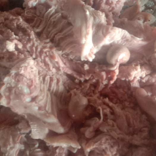 利津县 熟羊肉精修无油
