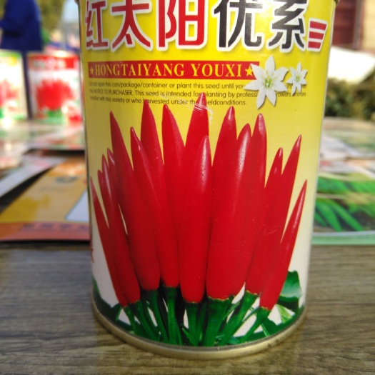 郑州红太阳辣椒种子  红太阳优系早熟高辣朝天椒种子
