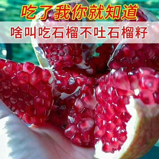 荥阳市 正宗河阴石榴，诚信为本