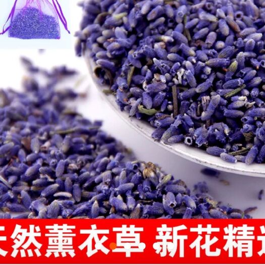 薰衣草干花 薰衣草新疆伊犁批發(fā)一手貨源對睡眠好驅(qū)蚊蟲