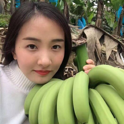 博白县广西玉林博白香蕉，新产地，第一年香蕉树，现大量上市，欢迎下