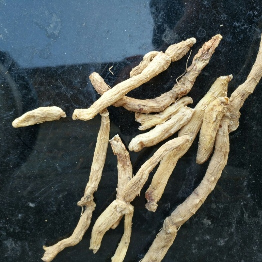 上饶湘玉竹 自然种植