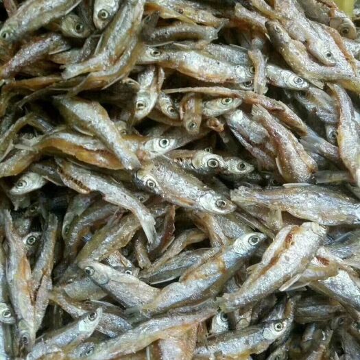 廉江市小鱼干 油炸开肚的小白条