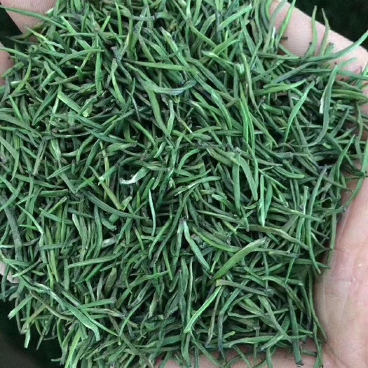湄潭县贵州绿茶 贵州2019明前新针茶湄潭翠芽雀舌特级散装250g～500g