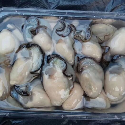 饶平县 牡蛎生蚝肉