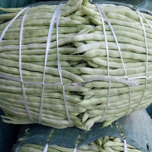 昌宁县架豆王豆角 精品豆王大量上市中