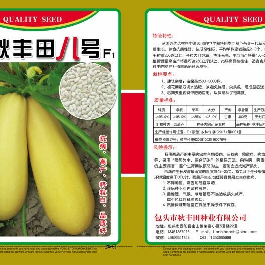 秋丰田八号 籽用西葫芦