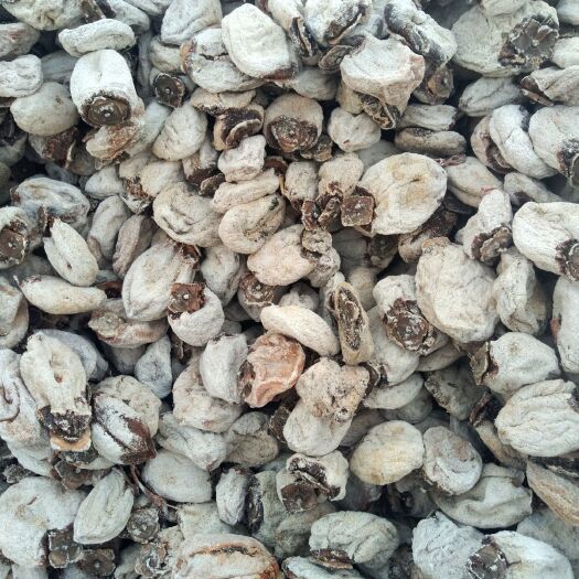 尉氏县 柿饼，豌豆仁量大优惠