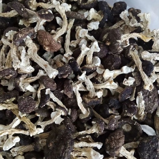 大球盖菇（又叫赤松茸）带皮精品小菇