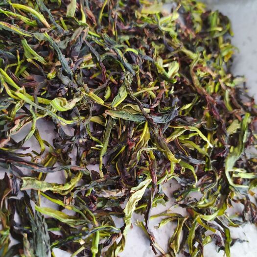 惠来县鸭屎香生茶潮州凤凰单枞茶抽湿鸭屎香青茶乌叶单枞茶1斤2罐套装