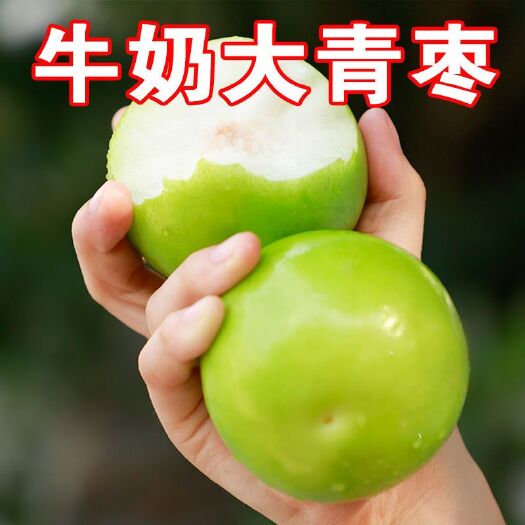 平和县 鲜枣翠蜜枣青枣牛奶枣支持一件代发