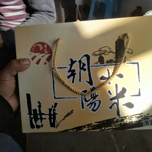 朝阳县张杂谷13号小米 红土地生态米