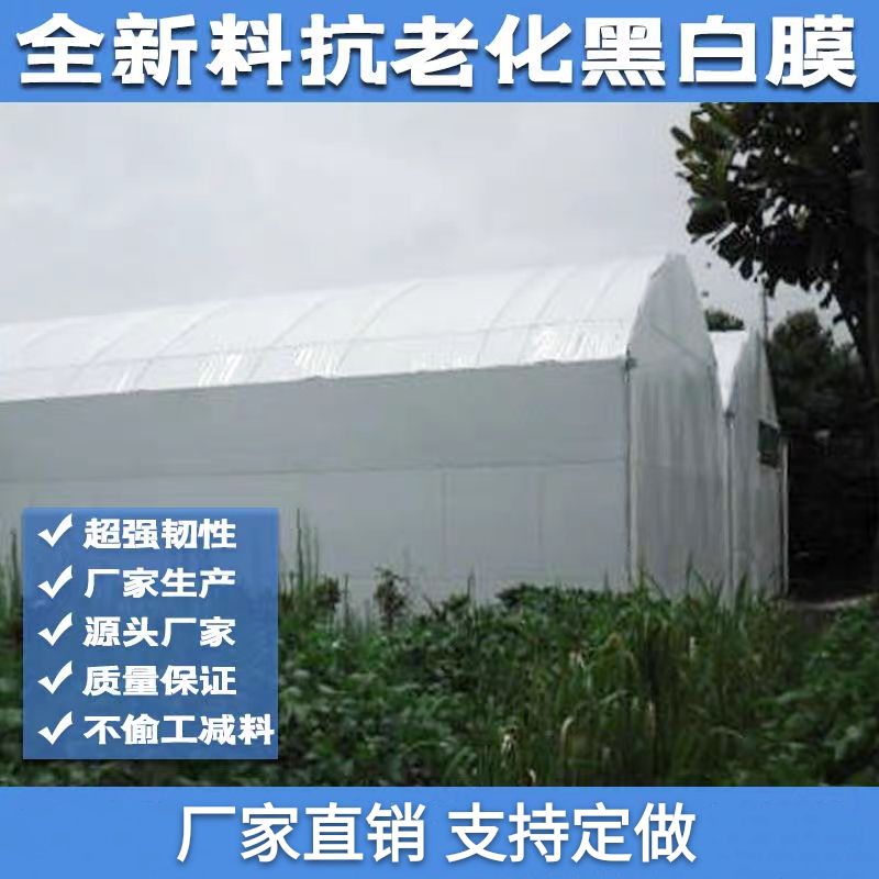 棚膜 黑白膜 菌菇养殖专用膜 鸡鸭鹅养殖专用膜 塑料