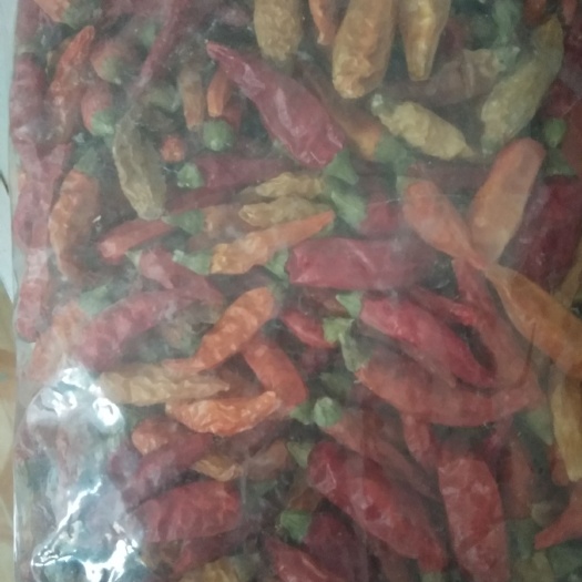 郸城县红泡椒 5cm以下 特辣 红色