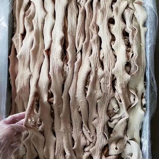 阳信县牛肠   牛大肠，牛小肠，牛圆肠，可切断，做牛杂配料